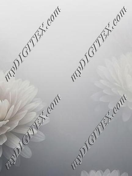 EBE 068266