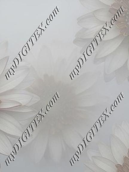 EBE 068344