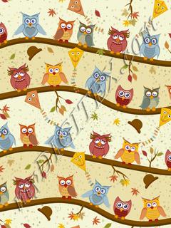 autumn owls
