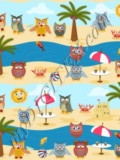 summer owls