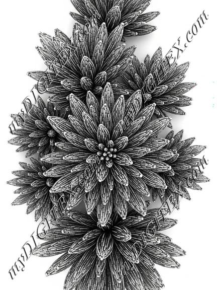 EBE 030092