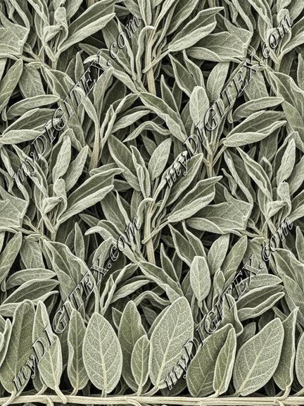 EBE 043466