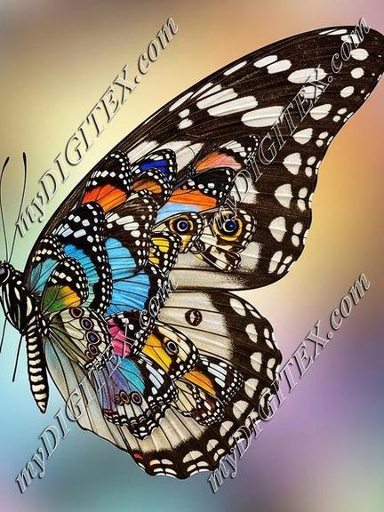 EBE 077542