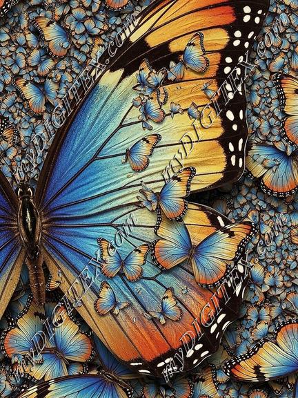 EBE 077854