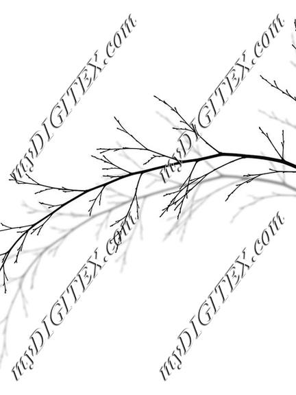 EBE 080864