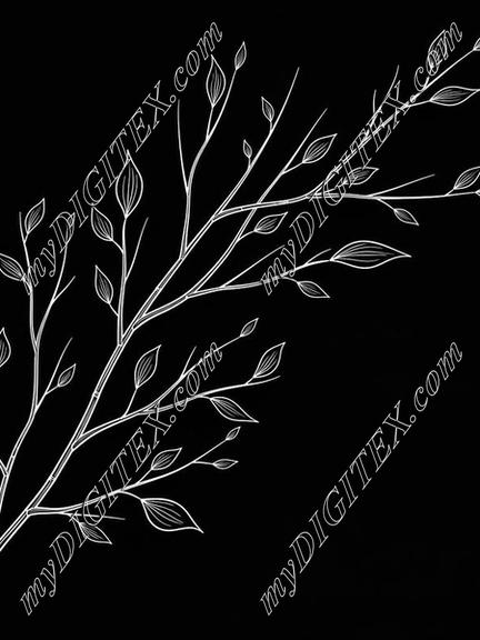 EBE 081977