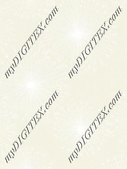 EBE 084488