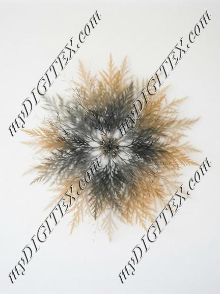 EBE 084630