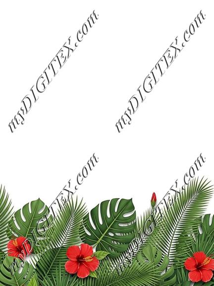 EBE 086586