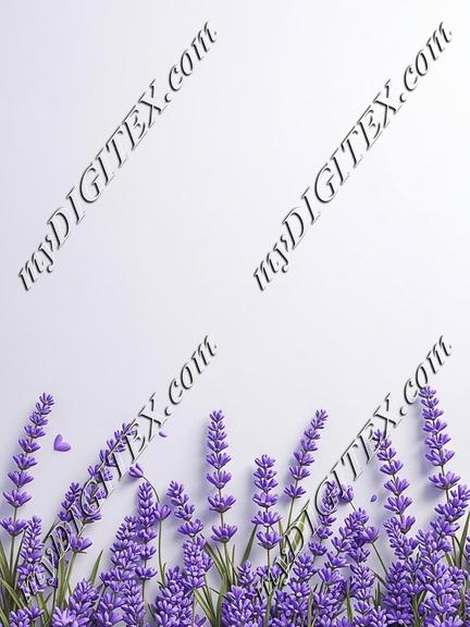 EBE 086588