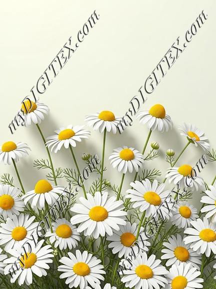 EBE 086660