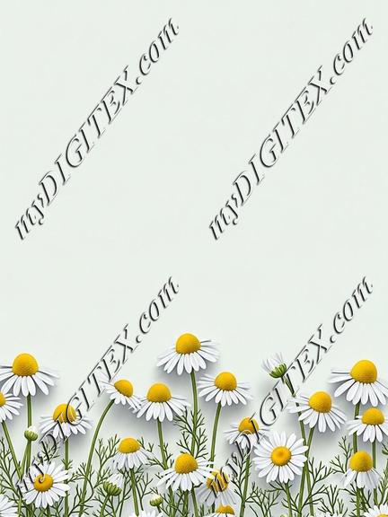 EBE 086662