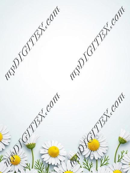 EBE 086824