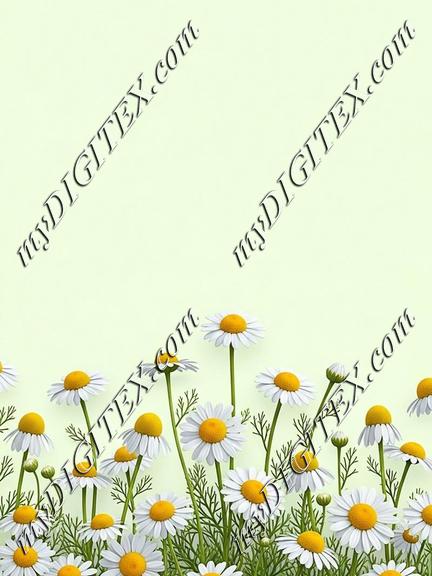 EBE 086879