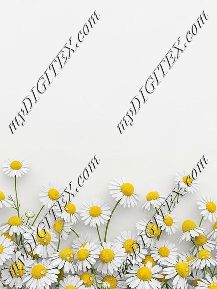 EBE 086903