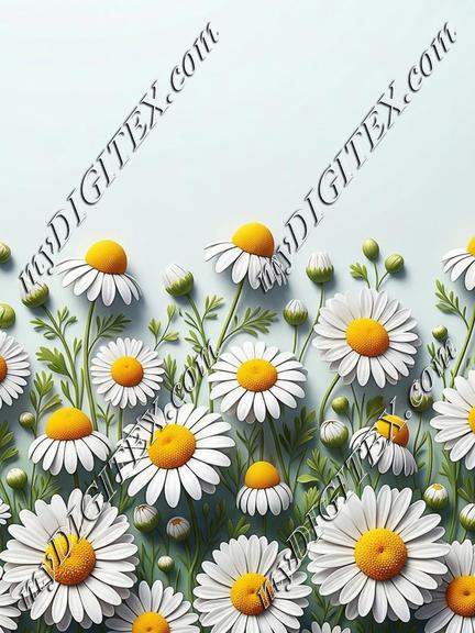EBE 086906