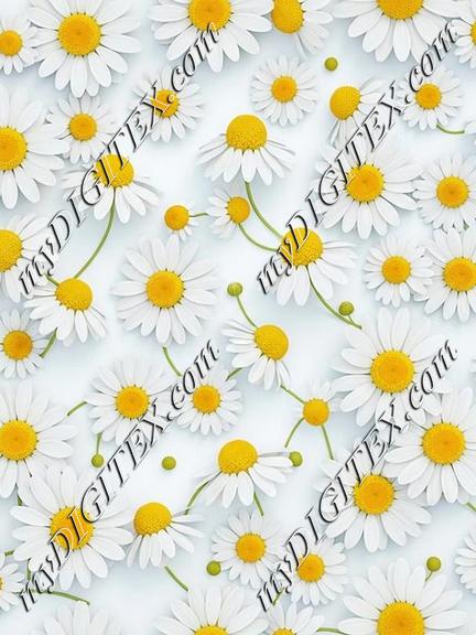 EBE 086949