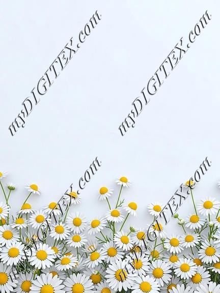 EBE 086962