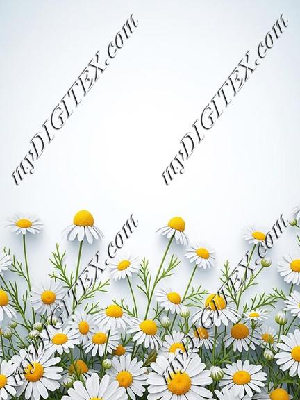 EBE 087037