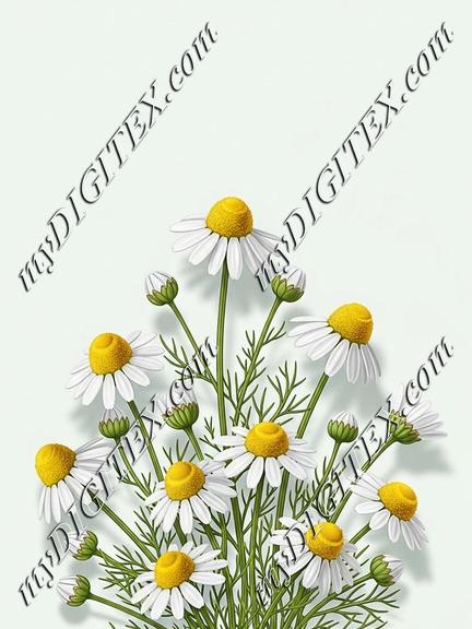 EBE 087060