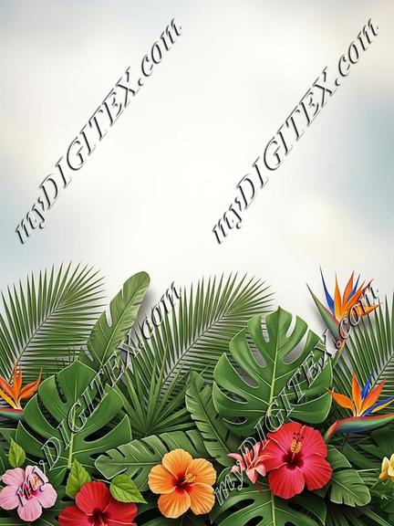 EBE 087248