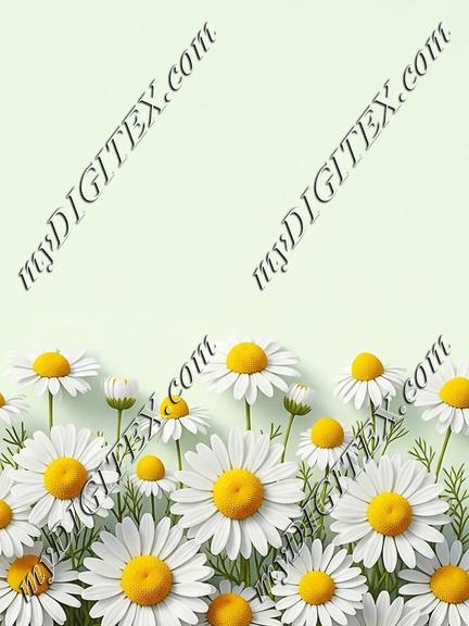 EBE 087249