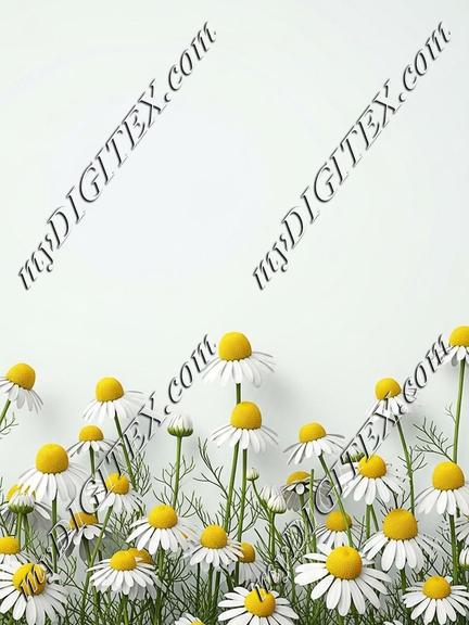 EBE 087258