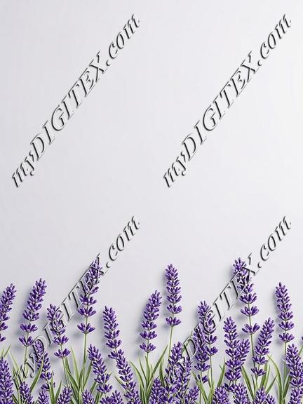 EBE 087262