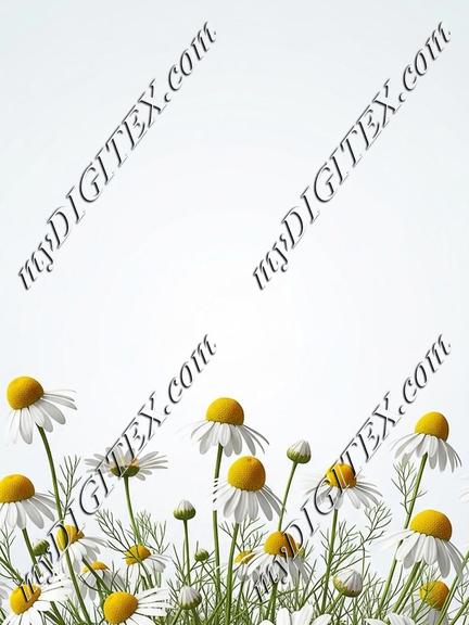 EBE 087289