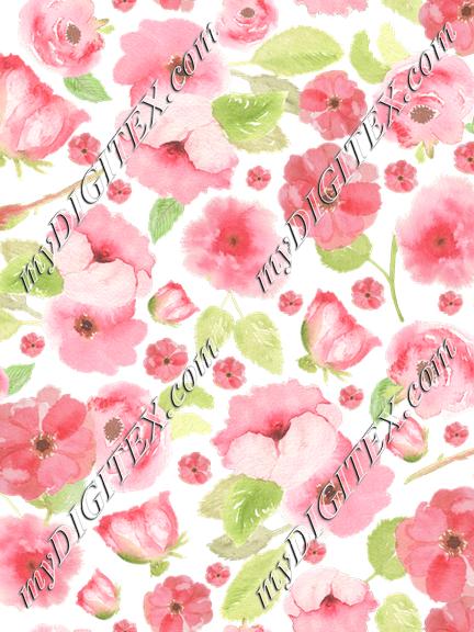 Pink Roses Watercolor