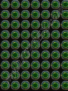 Circle green