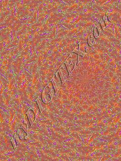 quadpatorangekal