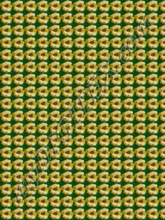 Sun flower Effect