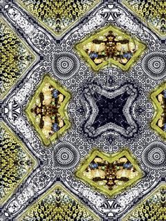 D011424