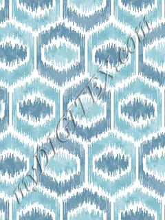 Hex Watercolor Ikat