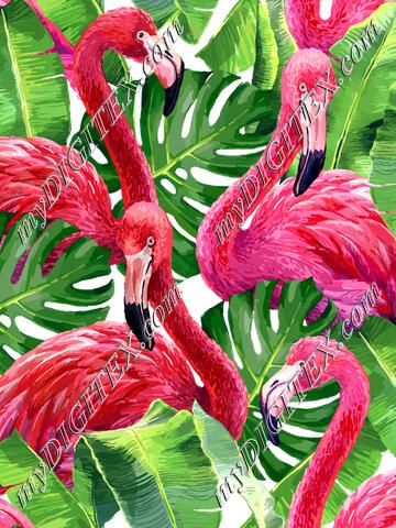 Flamingos (on white)