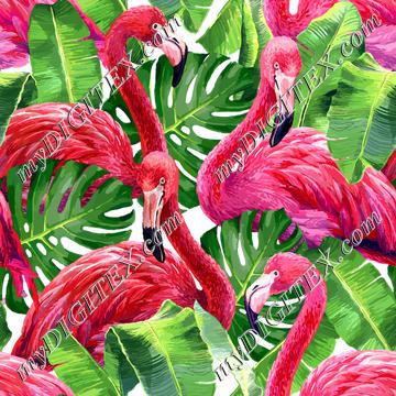 Flamingos (on white)