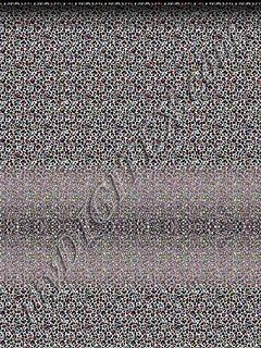D011861