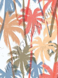 Palms