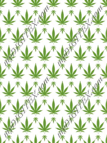 Pot