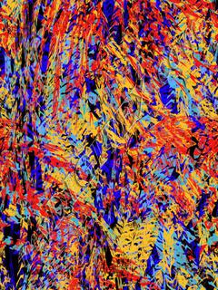 D013018