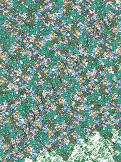 D012160