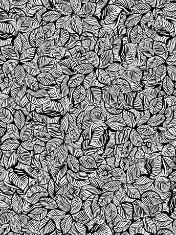 IRI0120097 copy