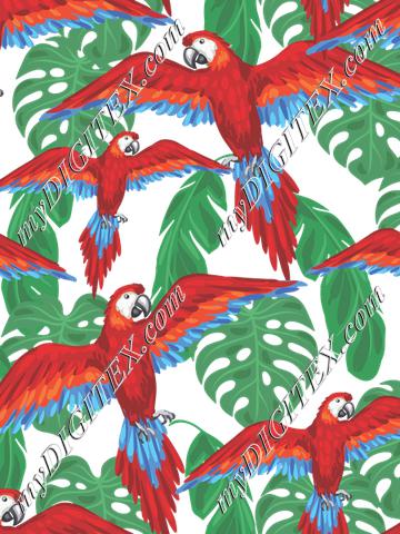 Parrots (on white)