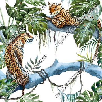 Jungle Leopards