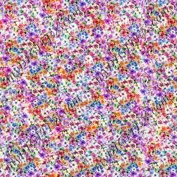 1010079