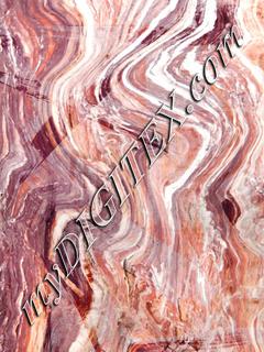 D029762