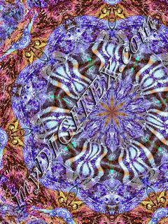 DSCN2362xxmkalcrsqkalw