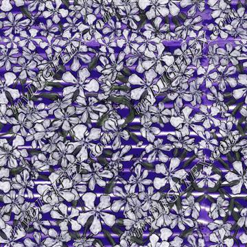 stripes_floral_1002