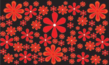 red daisy black